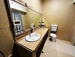 Bukit Timah Plaza / Sherwood Towers (D21), Apartment #523719741